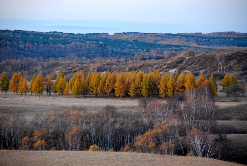 dsc_0356.jpg