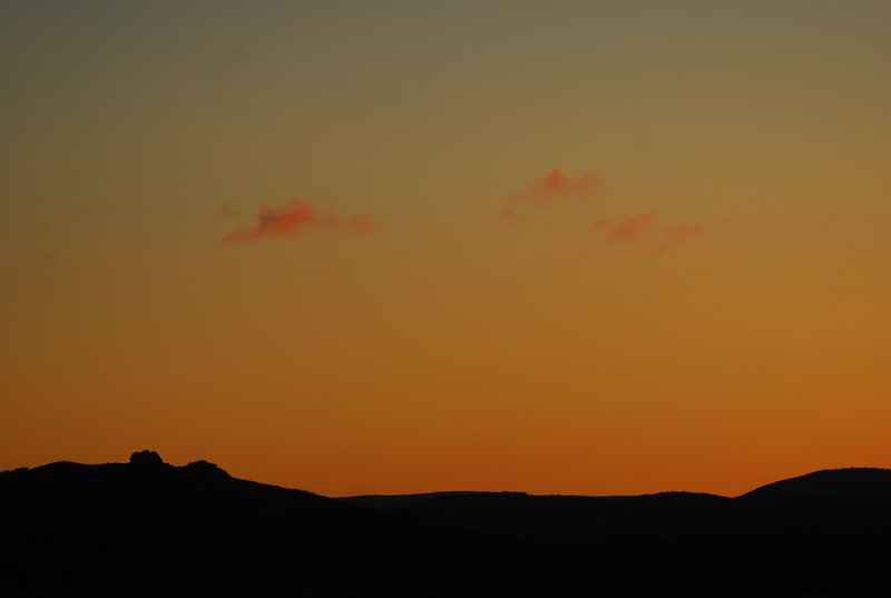 dsc_0371.jpg