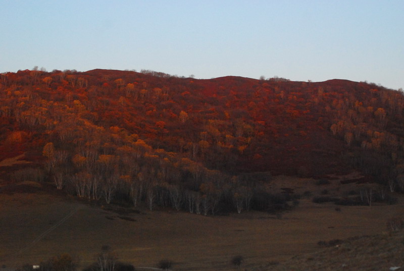 dsc_0375.jpg