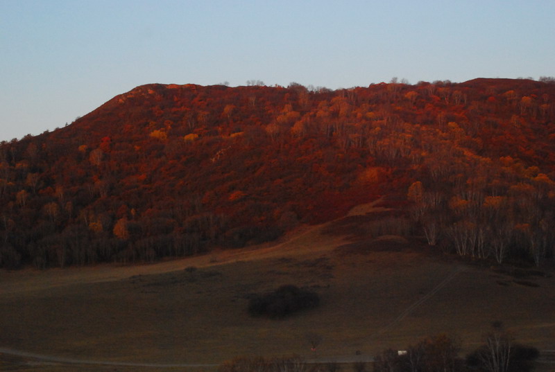dsc_0374.jpg