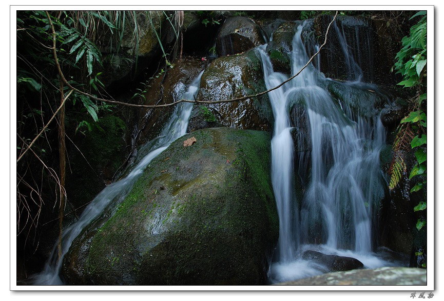 dsc_1305_neo_img.jpg