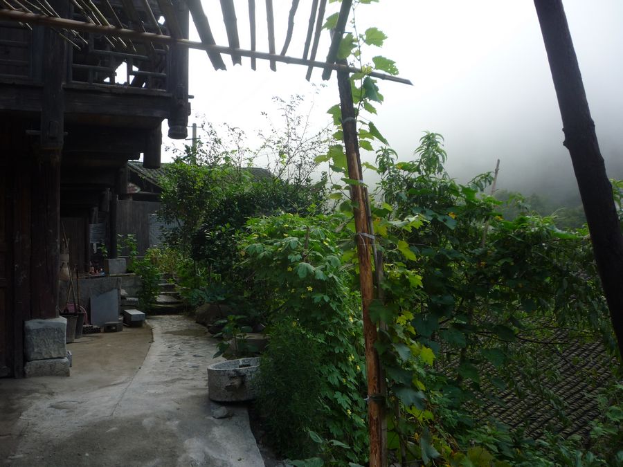p1120976.jpg