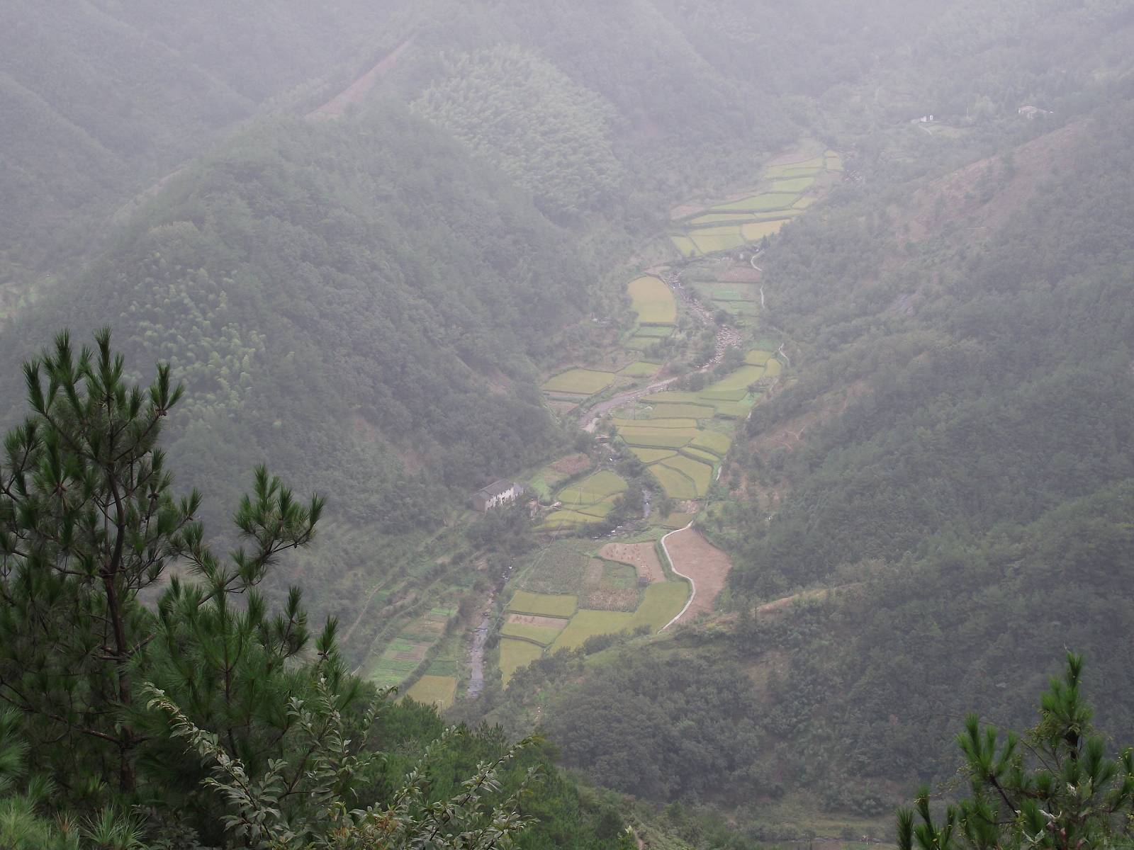 dscf0856_Ŀѹ.jpg