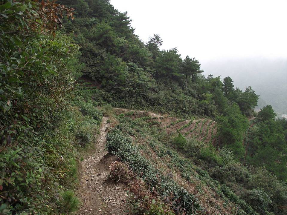 dscf0858_Ŀѹ_Ŀѹ.jpg