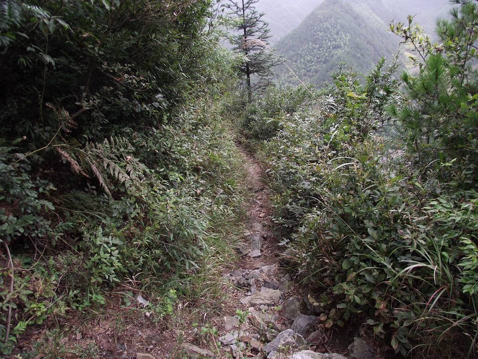 dscf0859_Ŀѹ_Ŀѹ.jpg