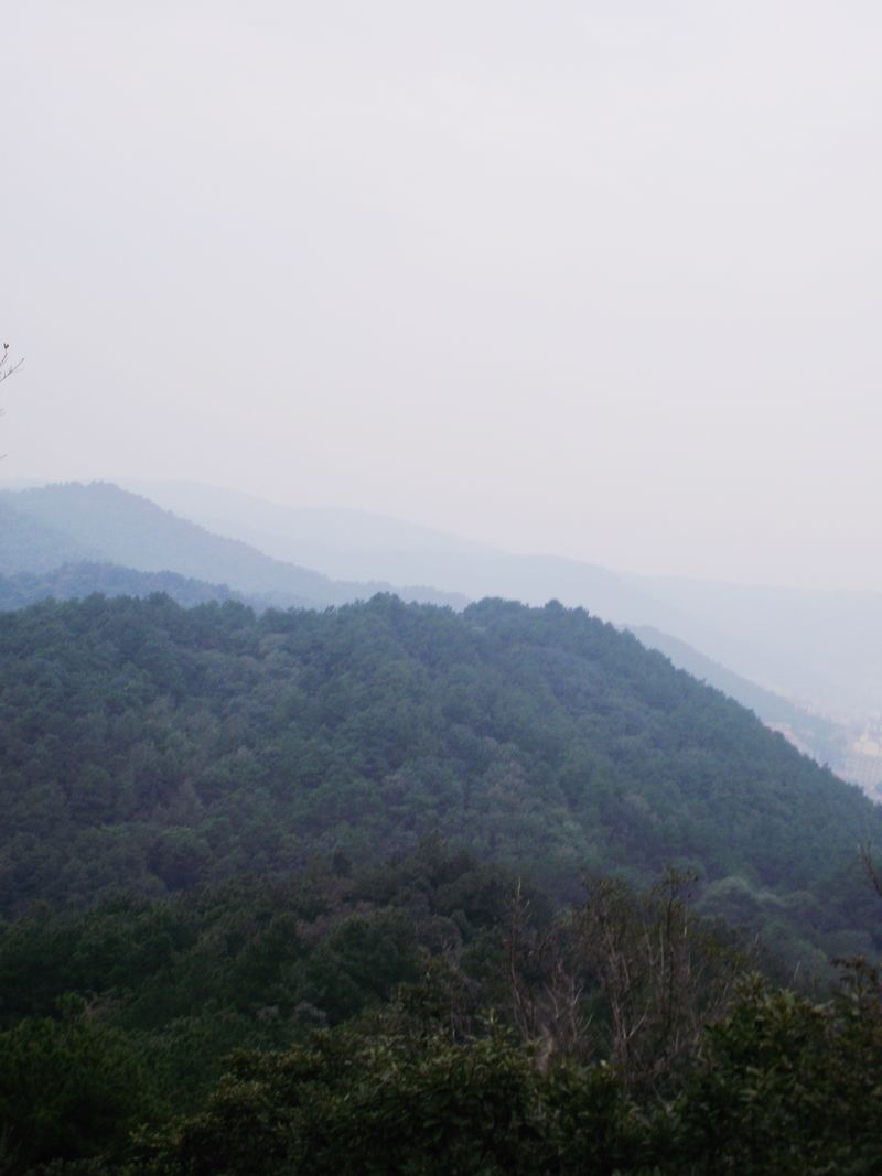 dscf5183.jpg
