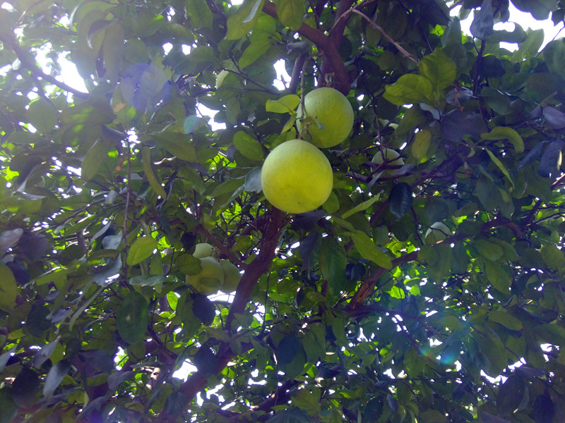 dscf78401_.jpg