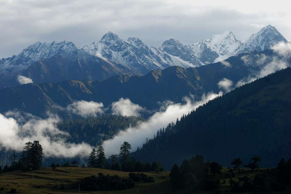 dsc_0157.jpg
