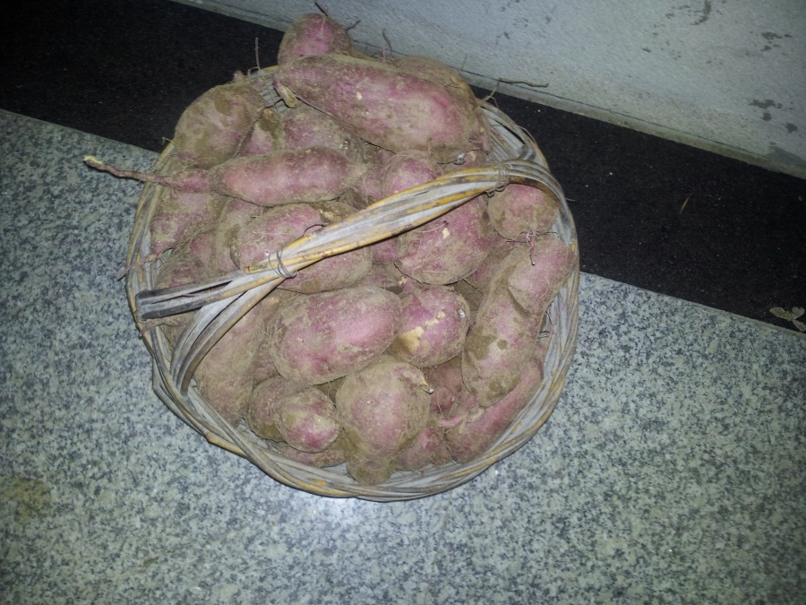 ժ2 002.jpg