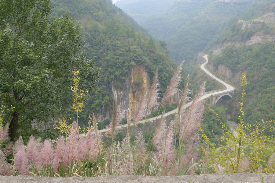 p1010872_.jpg