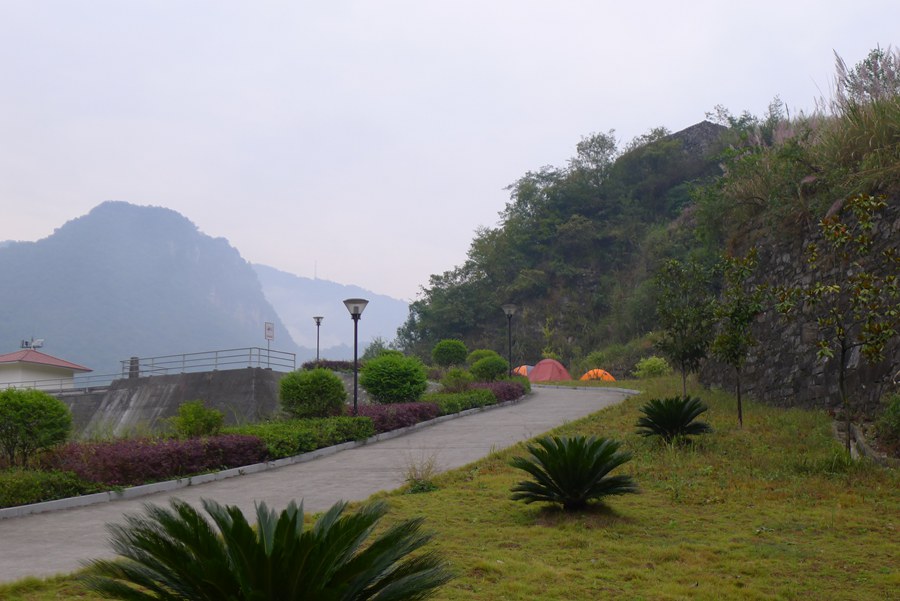 p1010894_.jpg