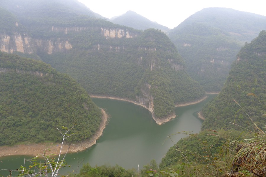 p1010961_.jpg