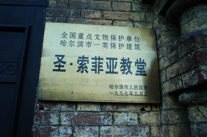 p1180879.jpg
