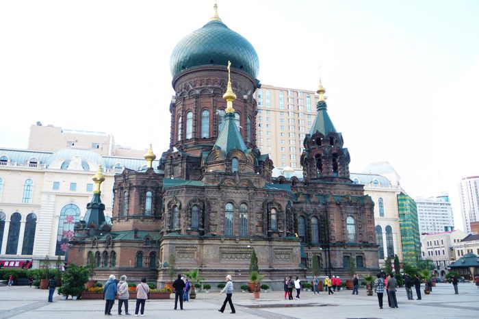 p1180883.jpg