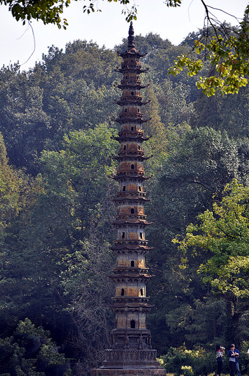 dsc_0053__.jpg