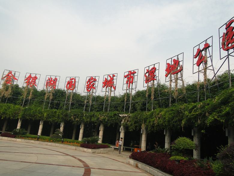 neo_img_dsc02889.jpg