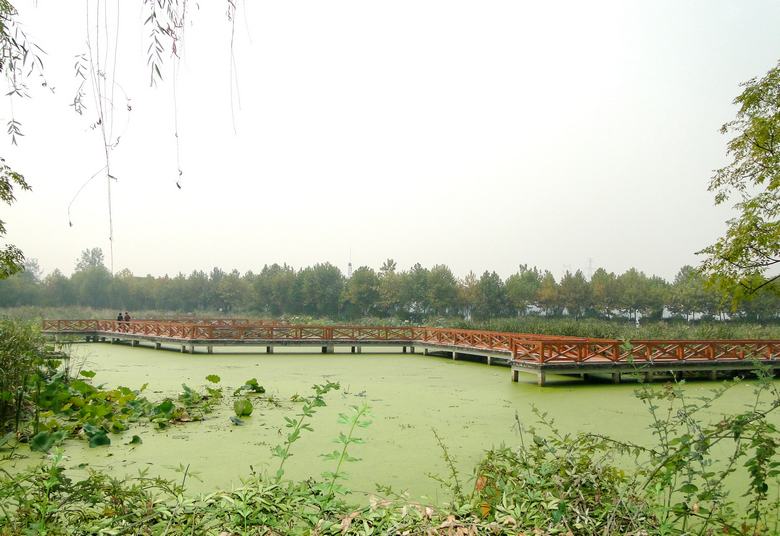 neo_img_dsc03059.jpg