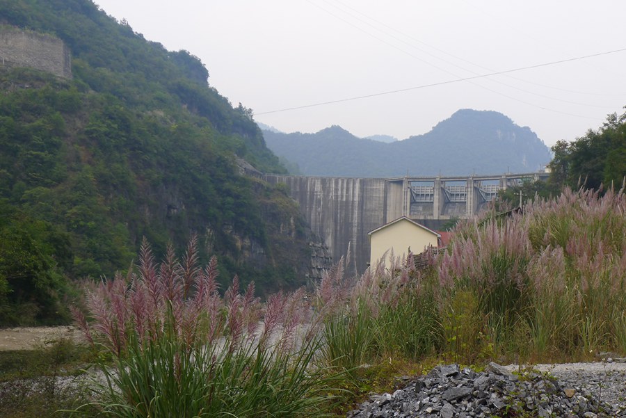 p1010844_.jpg