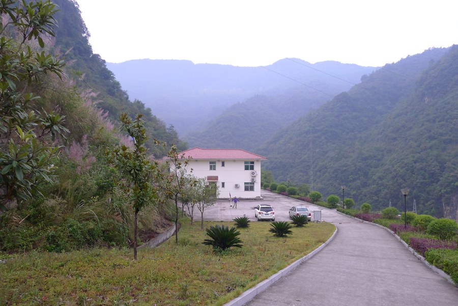 p1010888_.jpg