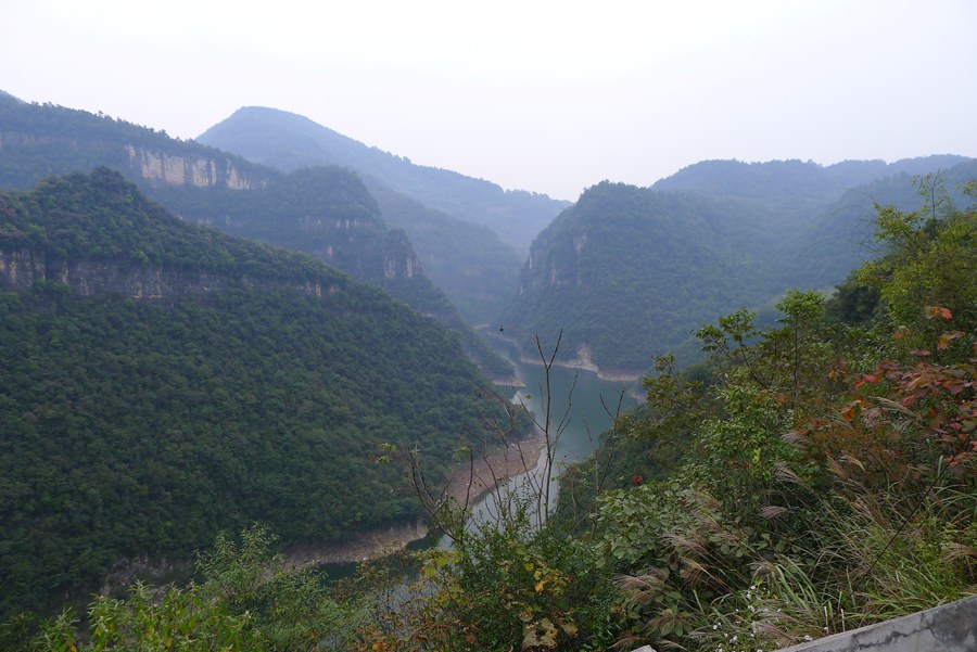 p1010950_.jpg