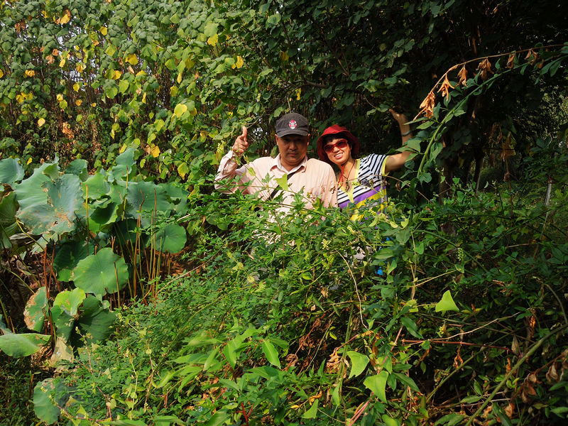 dscn3352.jpg