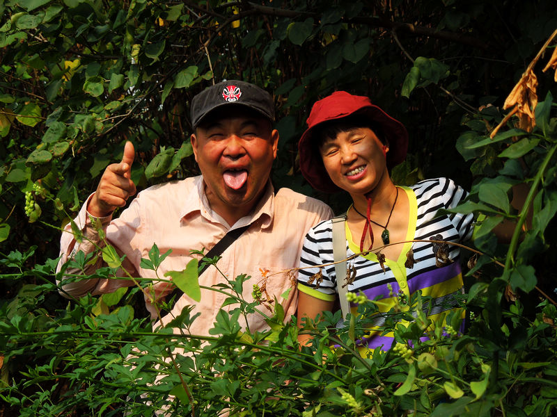 dscn3353.jpg