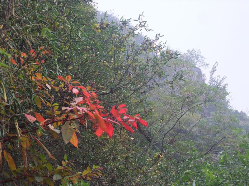 dscf3198.jpg