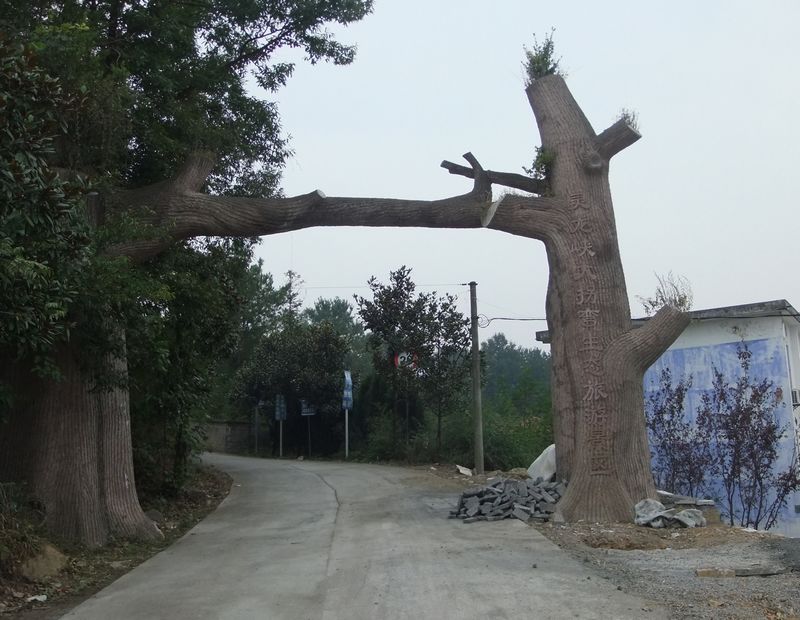 dscf9871.jpg