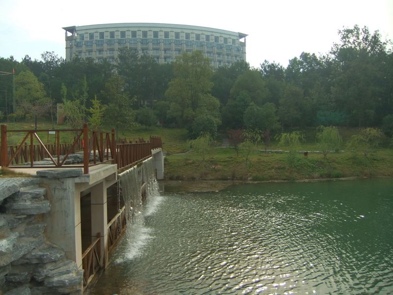 dscf9925.jpg