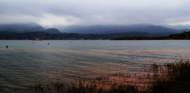 img_6731.jpg