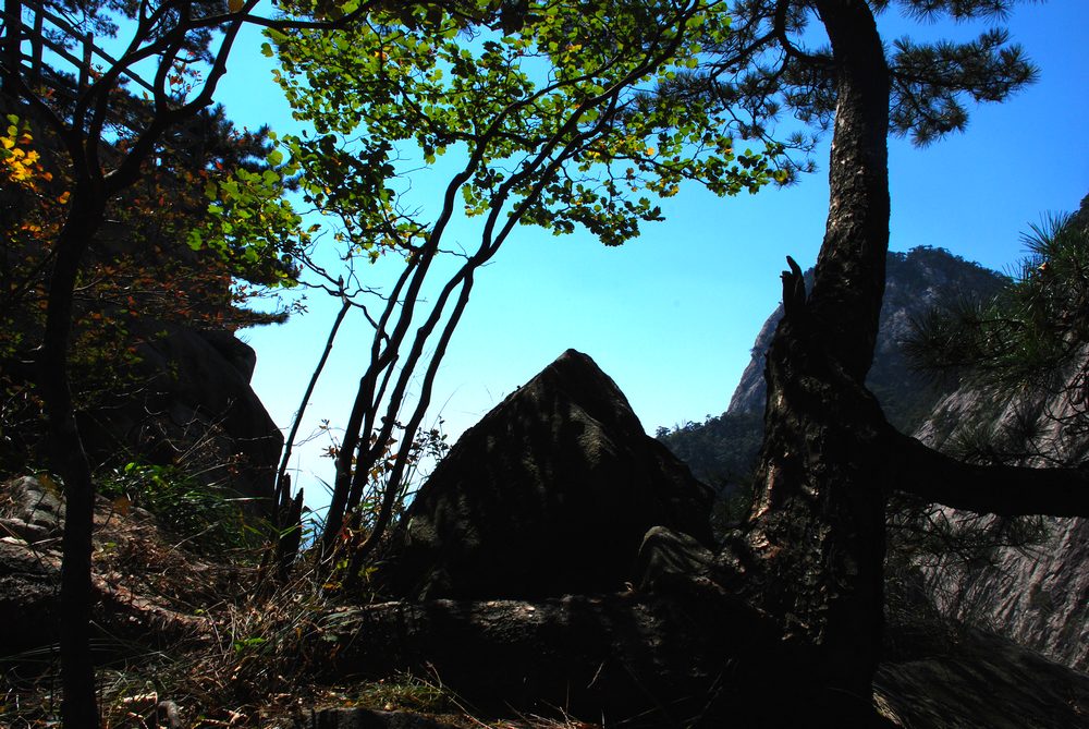dsc_1659.jpg