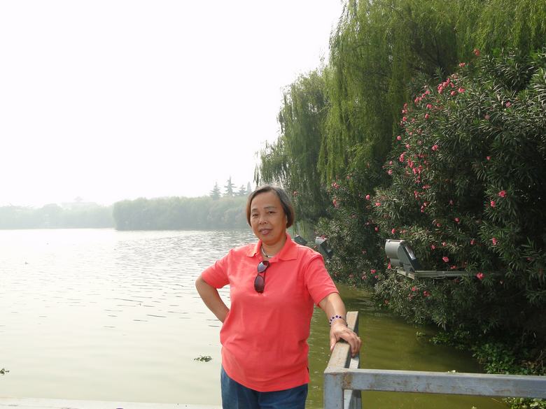 neo_img_dsc02951.jpg