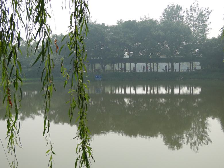 neo_img_dsc02992.jpg