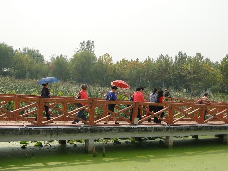 neo_img_dsc03182.jpg