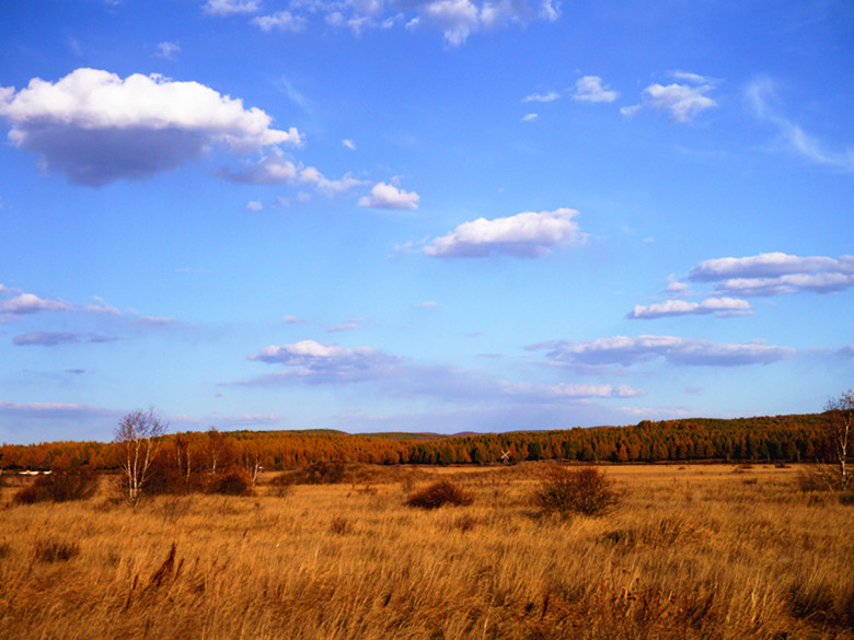 p1020390_.jpg
