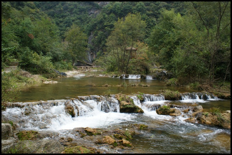 conew_ (162).jpg