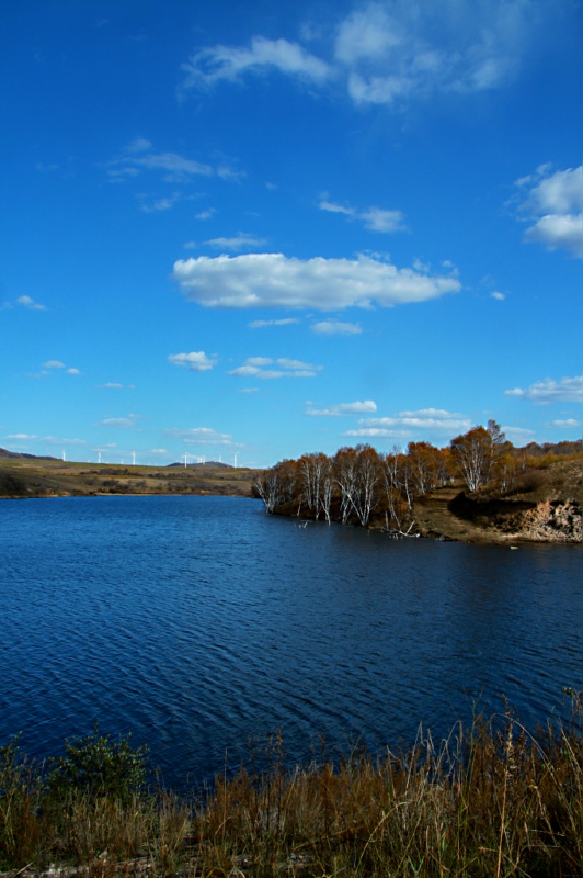 img_3841.jpg