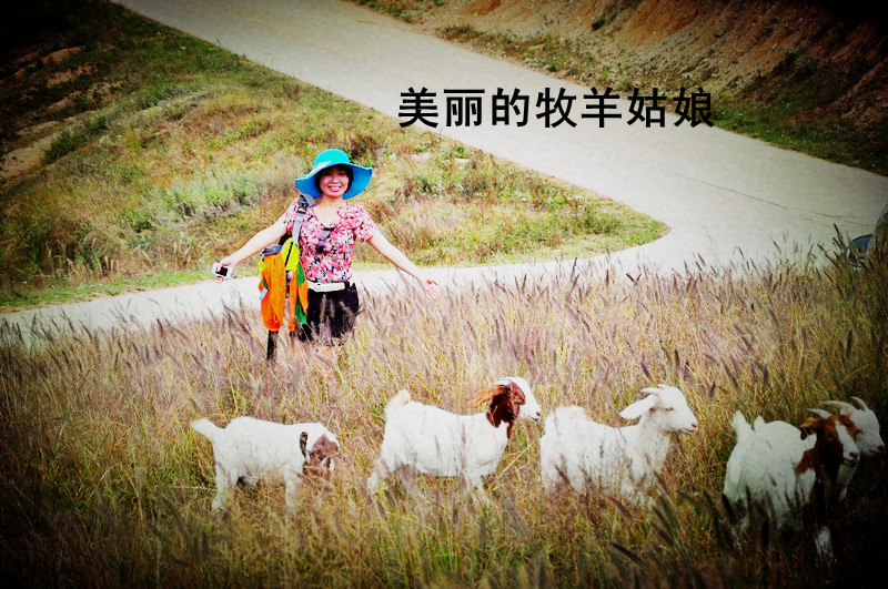 20121071812323665_.jpg