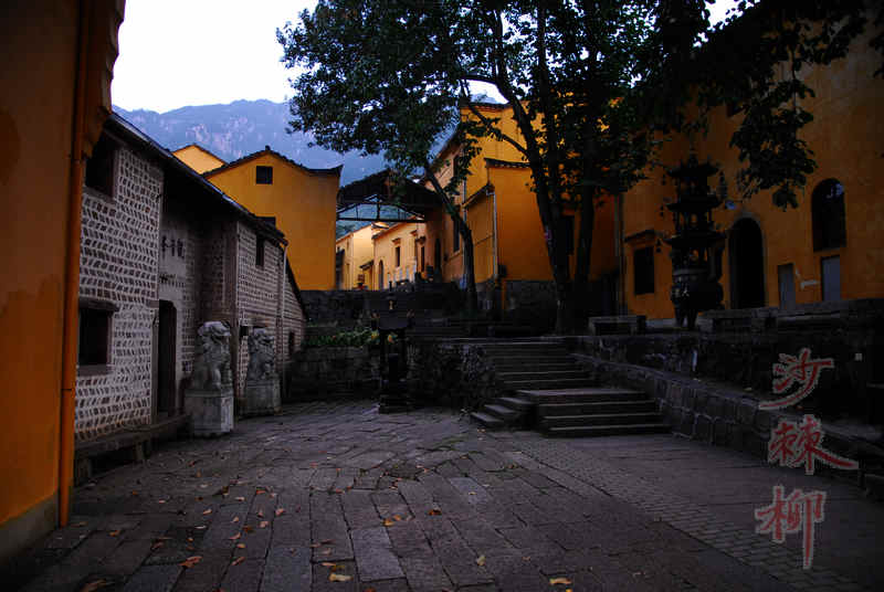 dsc_0174.jpg