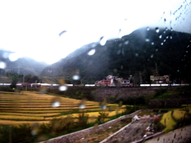 dscf0040.jpg