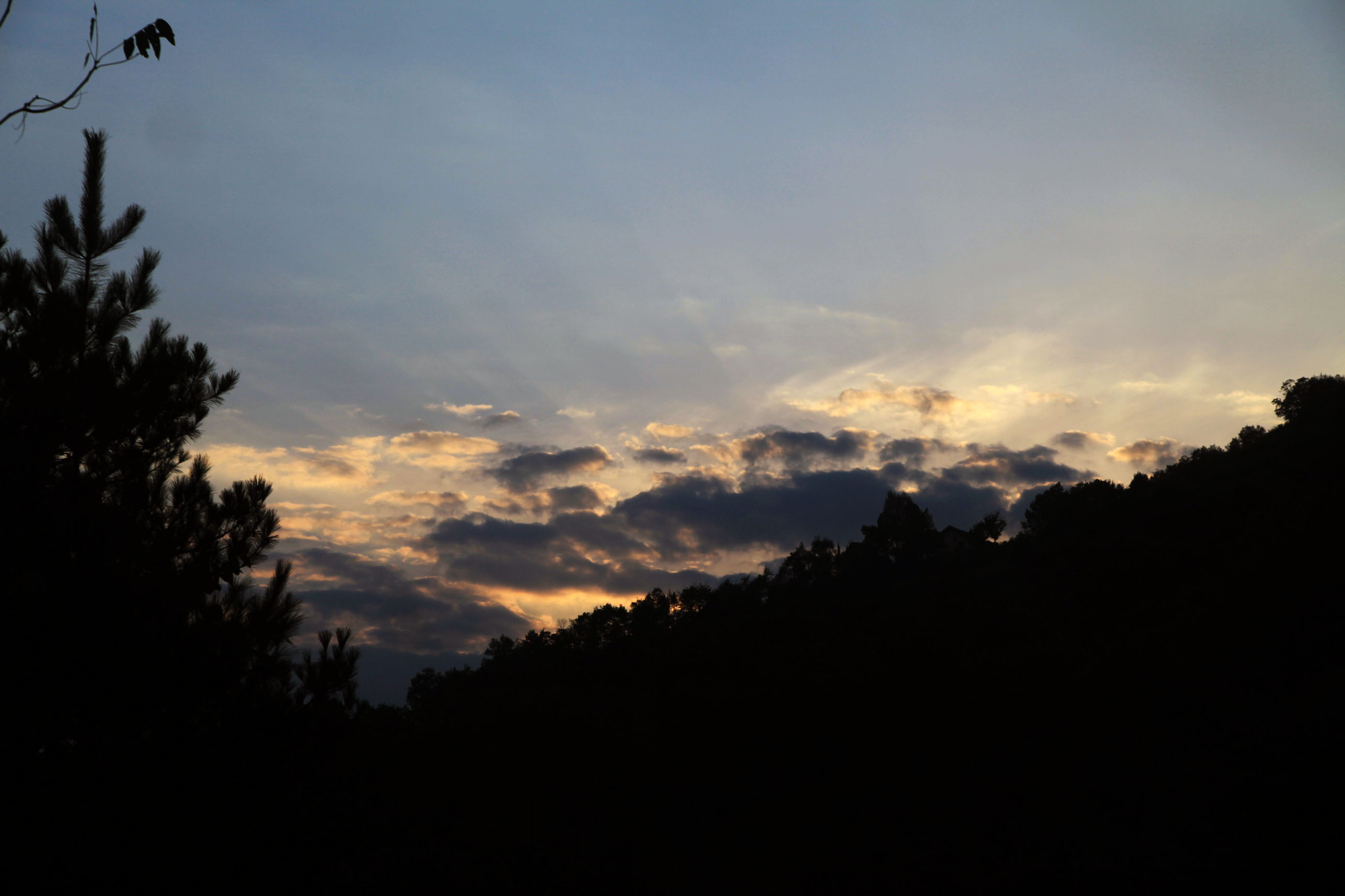 img_8558.jpg