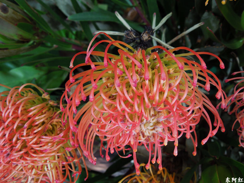 dscn3482.jpg