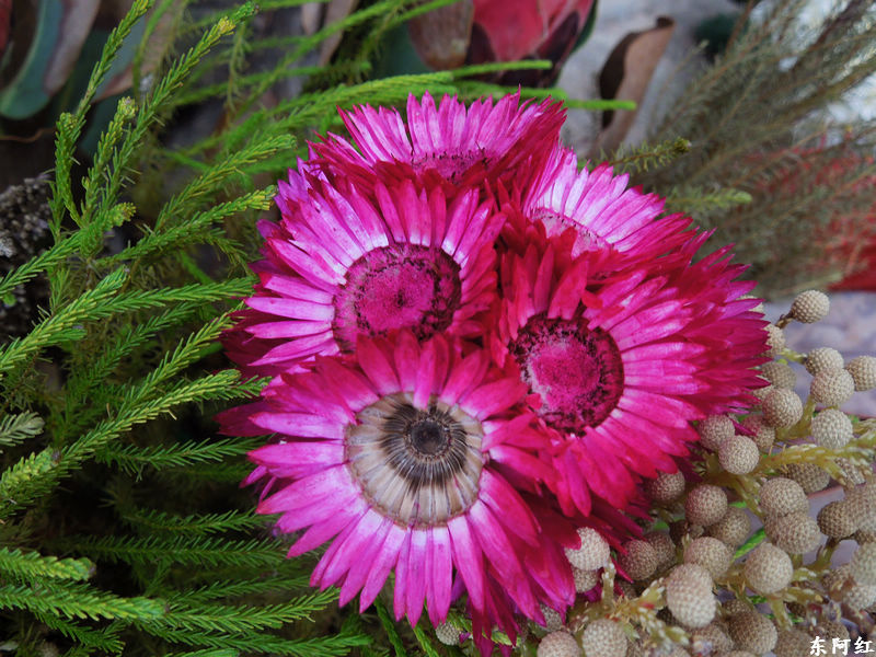 dscn3486.jpg