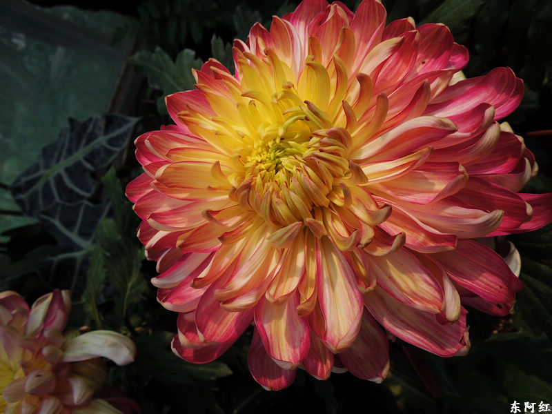 dscn3498.jpg