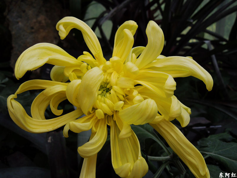 dscn3501.jpg
