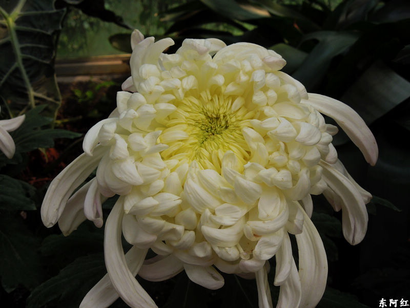 dscn3503.jpg