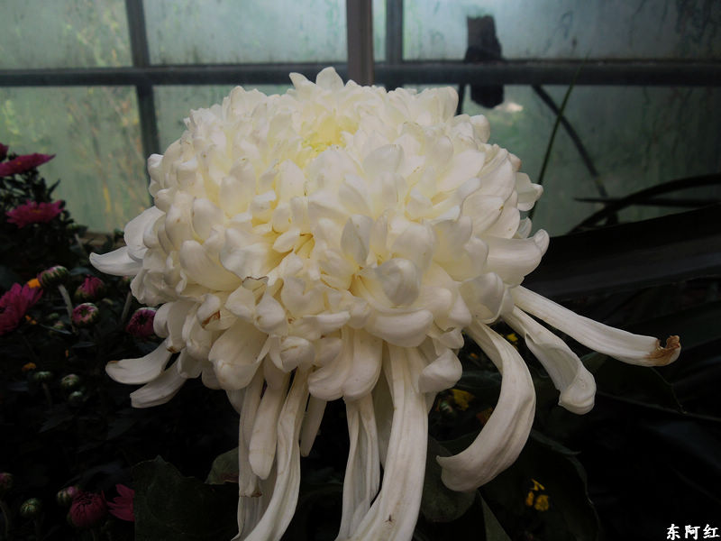 dscn3507.jpg