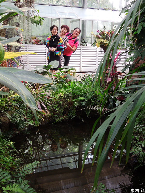 dscn3516.jpg