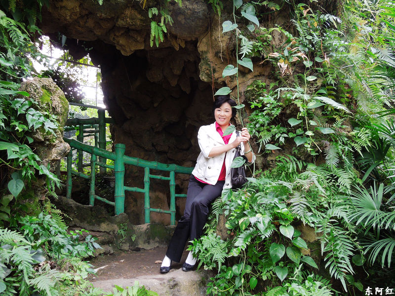 dscn3532.jpg