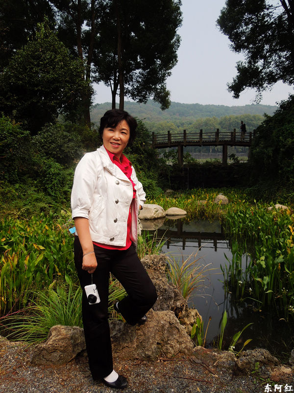 dscn3546.jpg